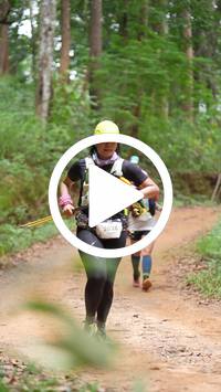 BIB:  <button type="button" onclick="openModal(26817891)" class="btn btn-primary btn-sm float-right" data-toggle="modal" data-target=".modal-high-quality">
                <i class="fa fa-download"></i> Download
                </button>